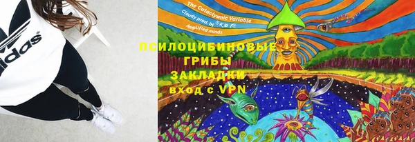 ПСИЛОЦИБИНОВЫЕ ГРИБЫ Касимов