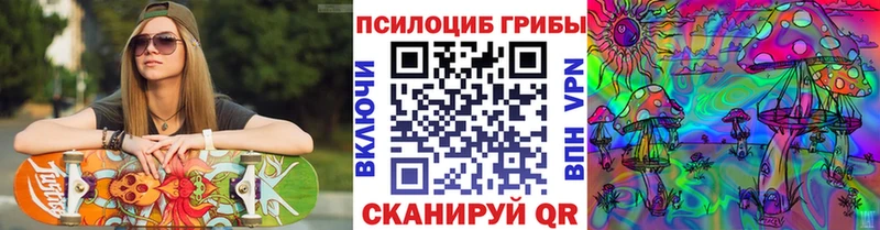 KRAKEN ссылка Кировград Галлюциногенные грибы MAGIC MUSHROOMS
